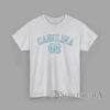 Vintage University of North Carolina Tar Heels T-Shirt Vintage University of North Carolina Tar Heels logo graphic crewneck T-Shirt in Carolina Blue